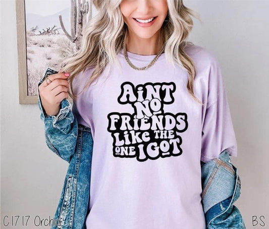 Aint No Friends Like The One I Got Comfort Color Tee-Adult