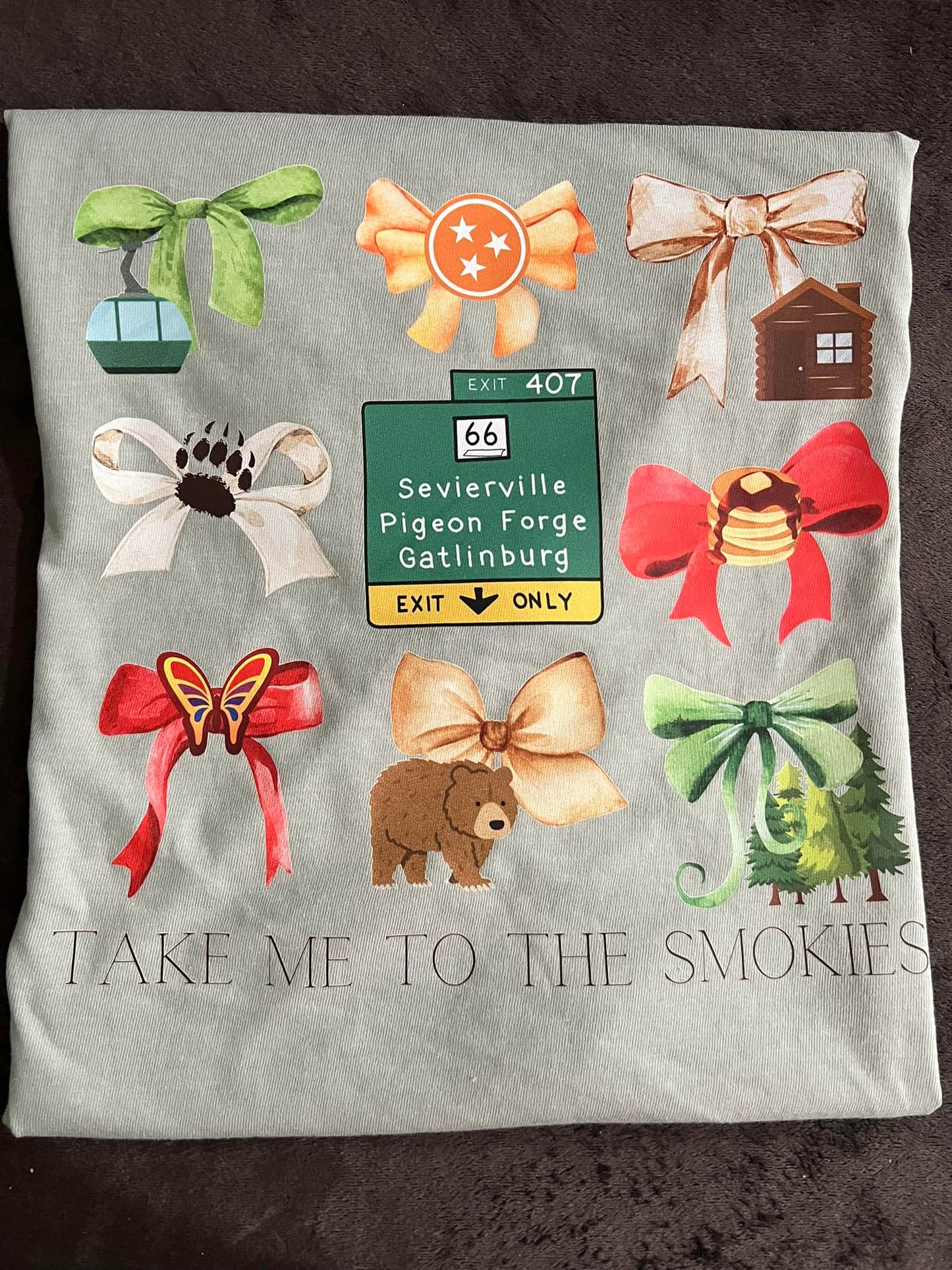 Take Me To The Smokies Comfort Colors Youth Tee